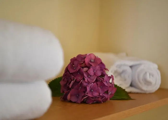 Appartamento Spacious With Pool In Prazeres - 150m² Campanário