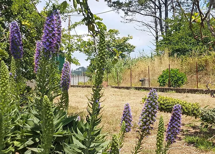 Appartamento Spacious With Pool In Prazeres - 150m²